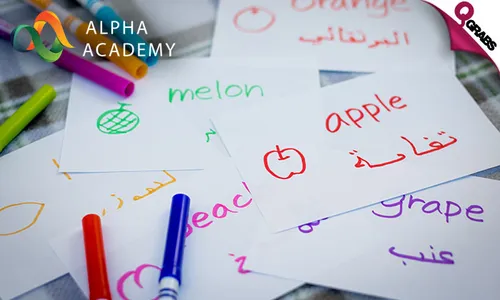 TWO Arabic Language Online Courses: Basic & Conversation Fluency!